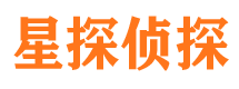 华龙市侦探调查公司